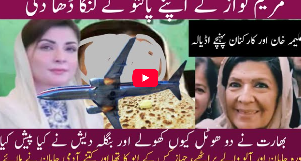 Mubasher Lucman CRIES on Maryam Nawaz Japan Tour 😢