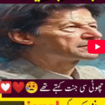 How Imran Khan Became the King of Pakistani Politics