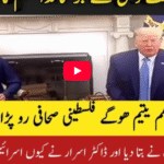 Palestinians Call Imran Khan Leader of Ummah